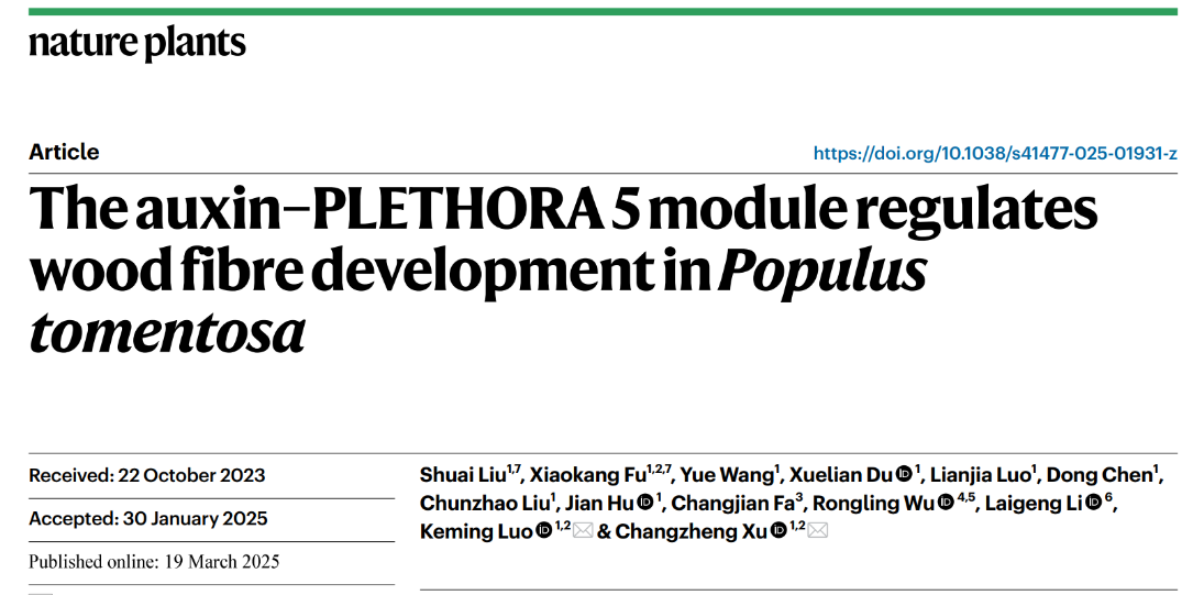 文件名称:image1.png原图大小:NaNGB
