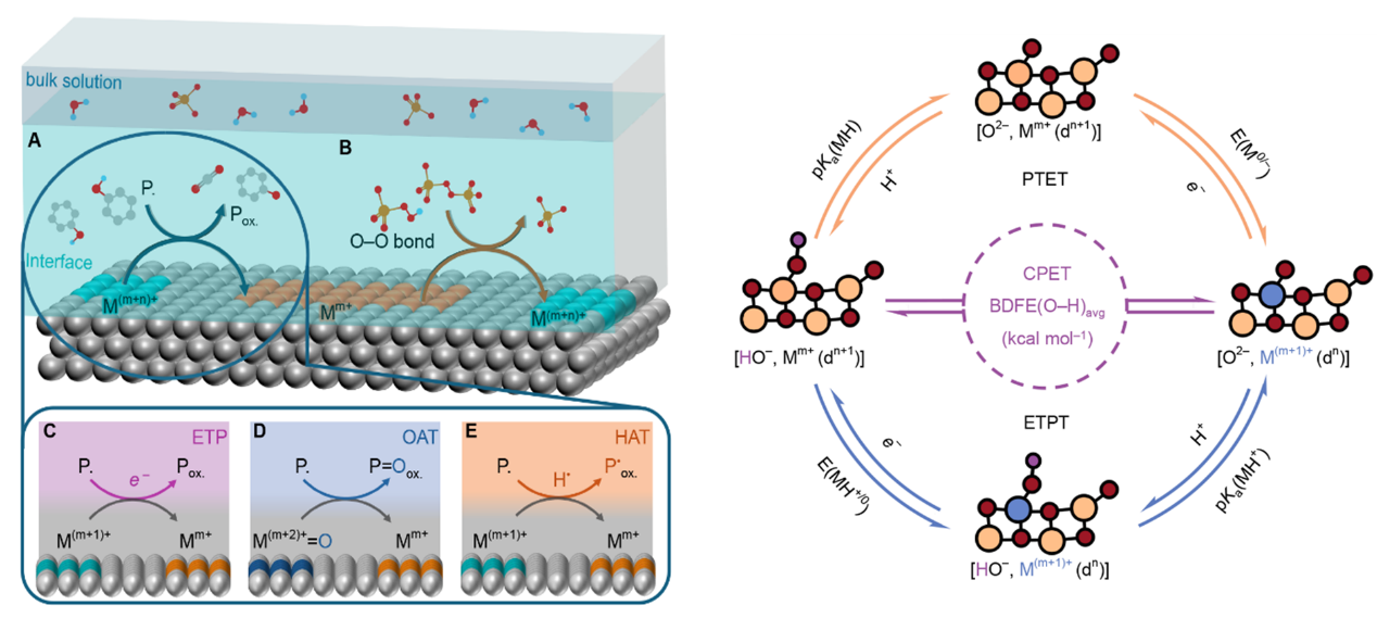 文件名称:image2.png原图大小:NaNGB