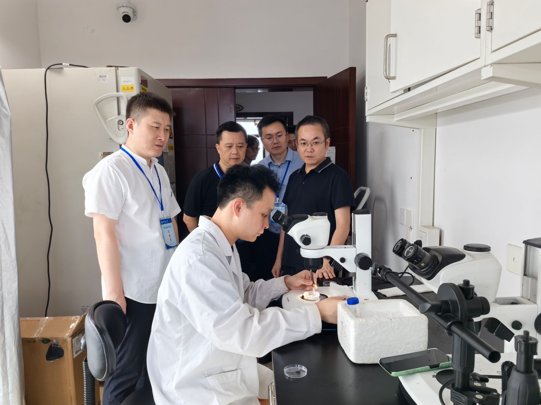 文件名称:1.jpg原图大小:2.38MB