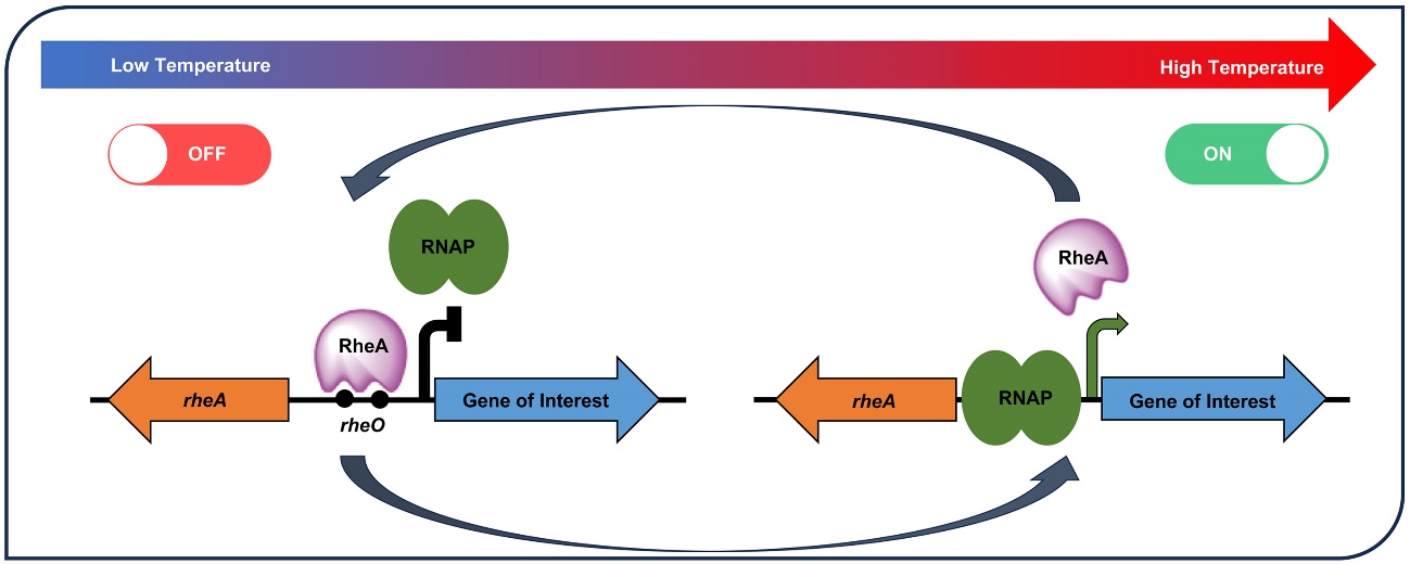 文件名称:image2.jpeg原图大小:NaNGB